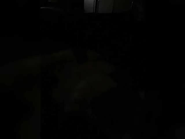 Offline Chemezoff on BongaCams