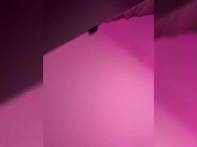 CurvyWoman- on BongaCams