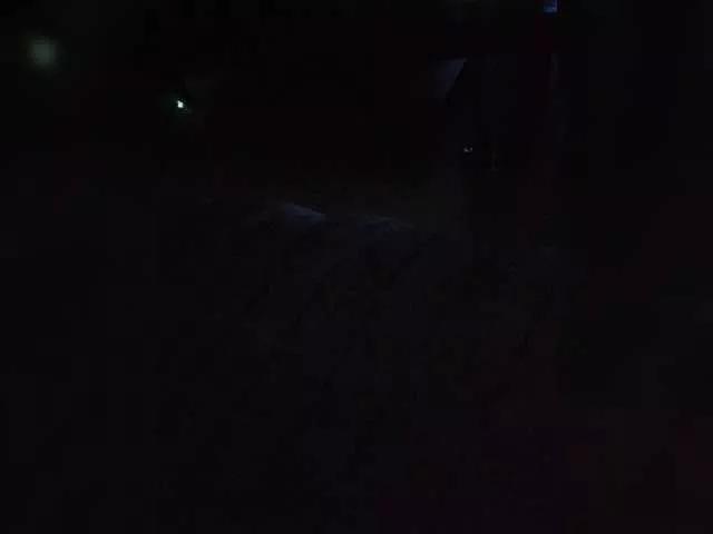 Offline Dimon777777777-2 on BongaCams