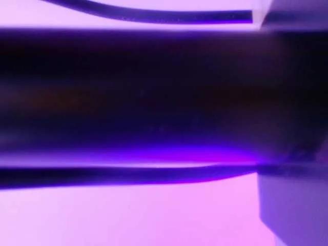 Freechat gabry-leone on BongaCams