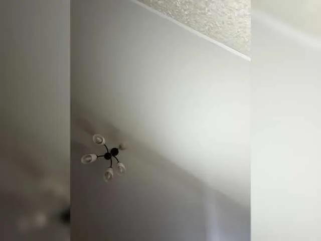 BongaCams HellMor is Freechat HellMor — The sound of your tokens