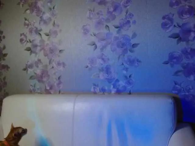 Offline KattyCat on BongaCams