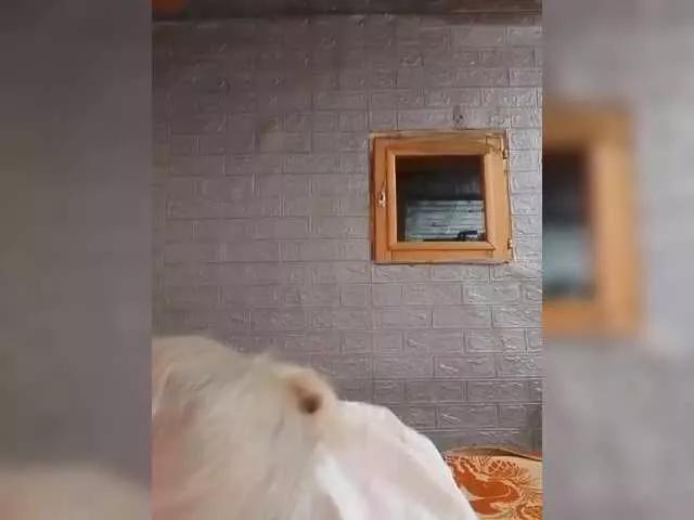 Offline LizSage on BongaCams