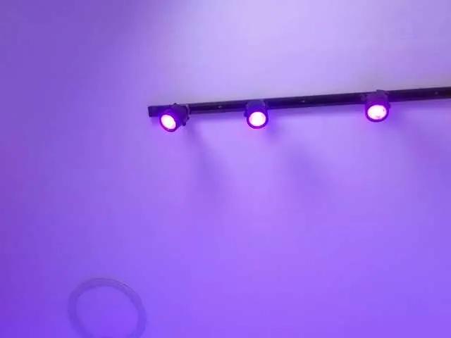 MaiaWatson on BongaCams 