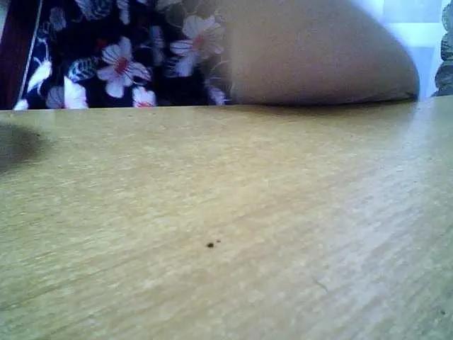 Offline SEKSIMARI-5 on BongaCams