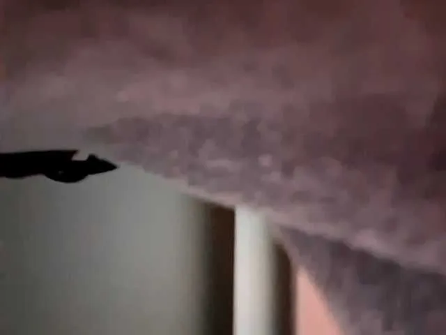 Offline sexyasian27 on BongaCams