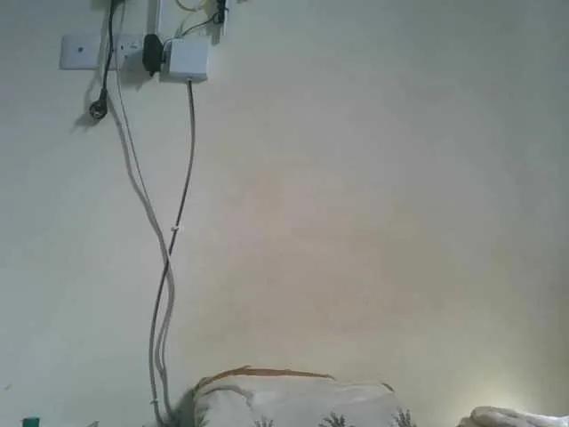 Freechat Swityass24 on BongaCams