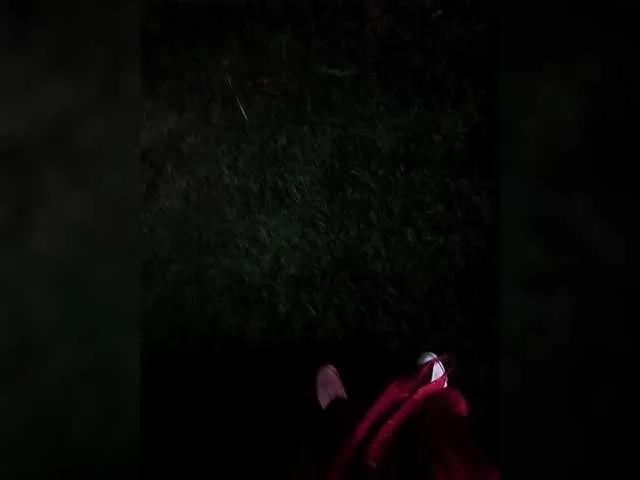 Offline TilyTily on BongaCams