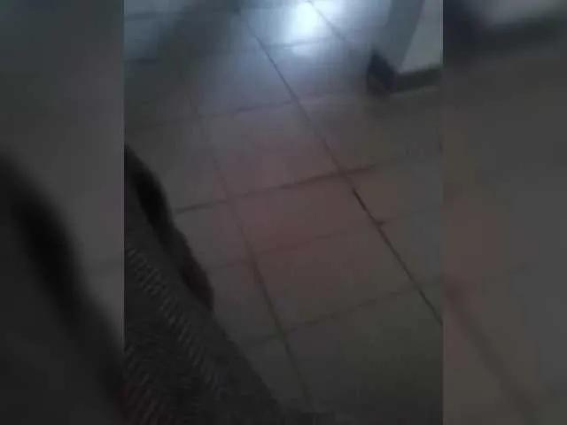 Offline ula2015 on BongaCams