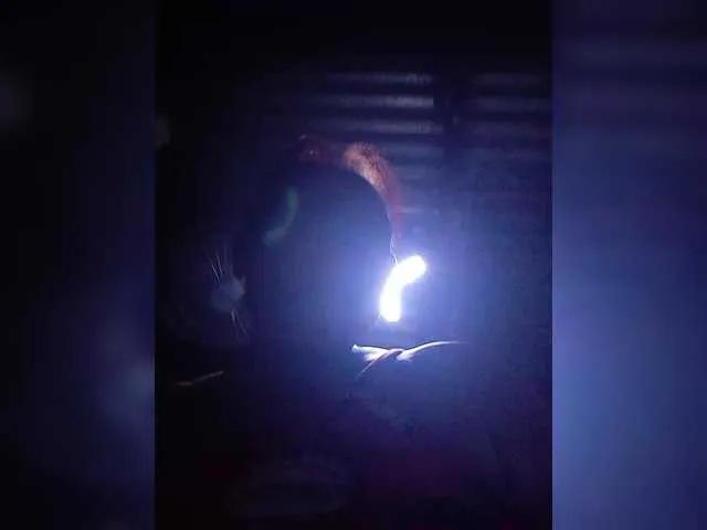 Offline VelvetRose1 on BongaCams