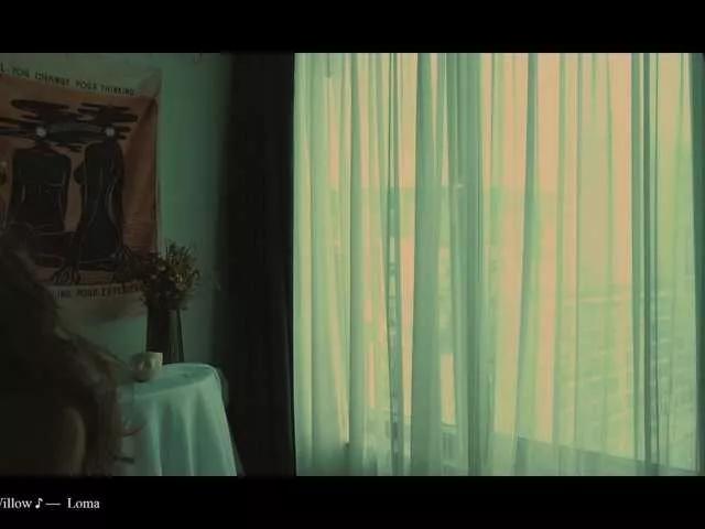 Offline WebCora on BongaCams