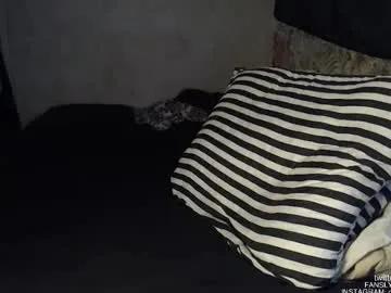 Freechat mr_pim_2_0 on Chaturbate