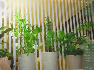 Freechat violetttttacb on Chaturbate