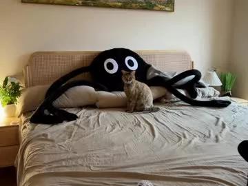 Freechat yuanlili on Chaturbate