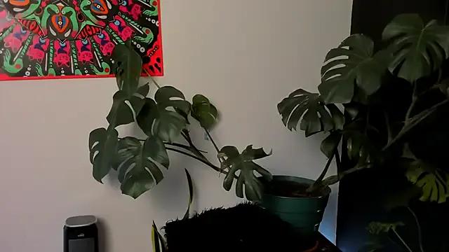 Freechat handipandapok on StripChat