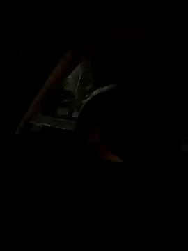 Freechat Lia_Laguna77 on StripChat