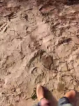 Freechat xmanrawan2 on StripChat