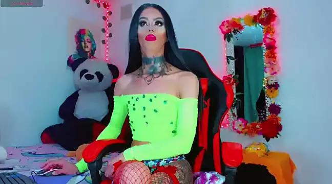 cam to cam sexiness with Girls streamers. Explore the newest collection of intense camshows from our capable horny hosts.