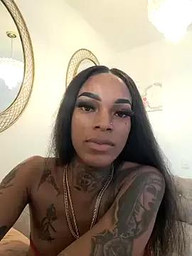 cam to cam sexiness with Girls streamers. Explore the newest collection of intense camshows from our capable horny hosts.