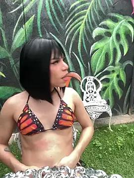 cam to cam sexiness with Girls streamers. Explore the newest collection of intense camshows from our capable horny hosts.