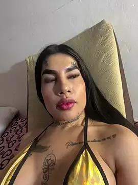 cam to cam sexiness with Girls streamers. Explore the newest collection of intense camshows from our capable horny hosts.