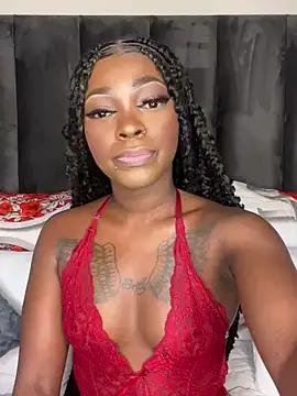 cam to cam sexiness with Girls streamers. Explore the newest collection of intense camshows from our capable horny hosts.