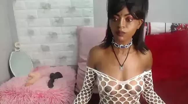 cam to cam sexiness with Girls streamers. Explore the newest collection of intense camshows from our capable horny hosts.